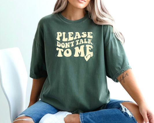 Please Dont Talk to Me T-Shirt, Gift